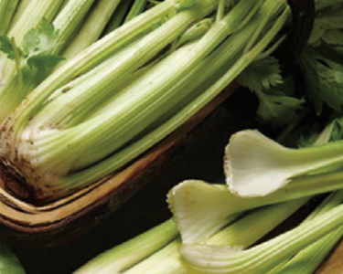 Golden Self-Blanching Celery Seeds